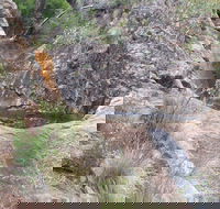 Mill-bullah Walking Track - Your Accommodation