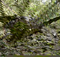 Mitchell River Walking Track - Your Accommodation