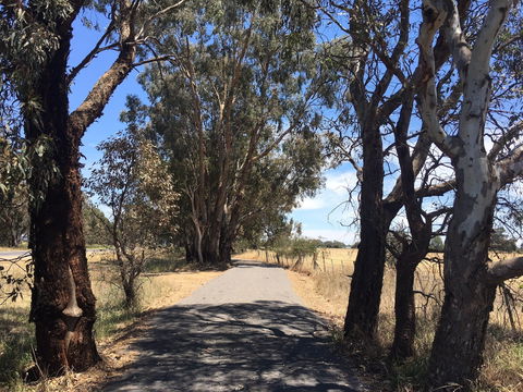Mokoan Discovery Trail - Your Accommodation 1