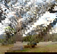 Moolarben Picnic Area