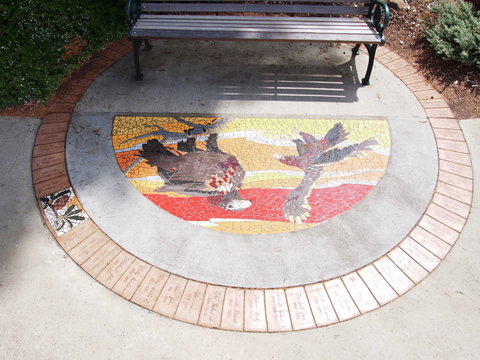 Mosaic Pathway (WASS) - Your Accommodation 2