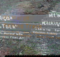Mount Murga Walking Track - Your Accommodation