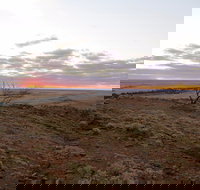 Mundi Mundi Plains - Your Accommodation