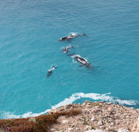 Nullarbor National Park - Your Accommodation