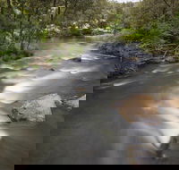 Nymboi-Binderay National Park