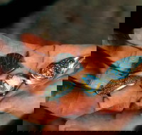 Opalton - Your Accommodation