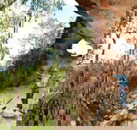 Pilliga Forest - Your Accommodation