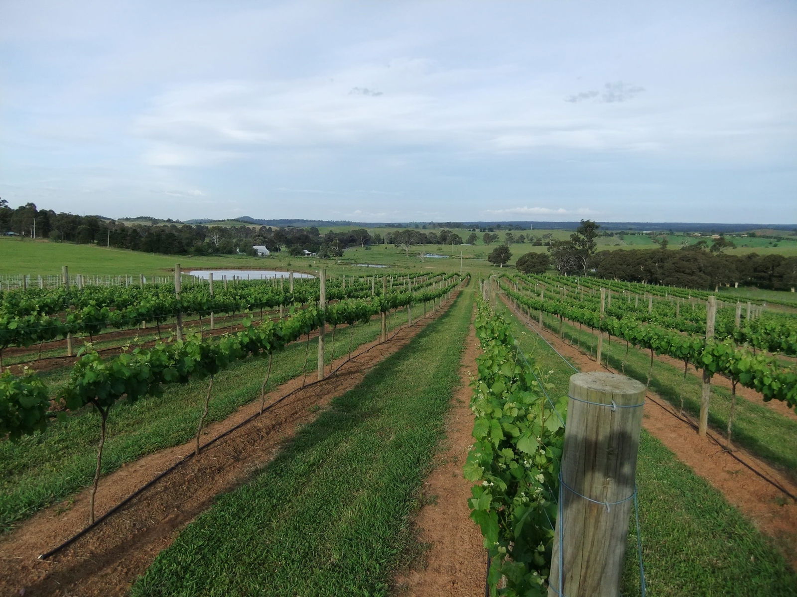 Razorback NSW Your Accommodation