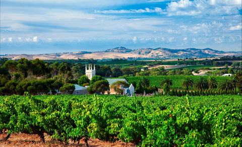 Seppeltsfield Road Barossa Valley - Your Accommodation 1