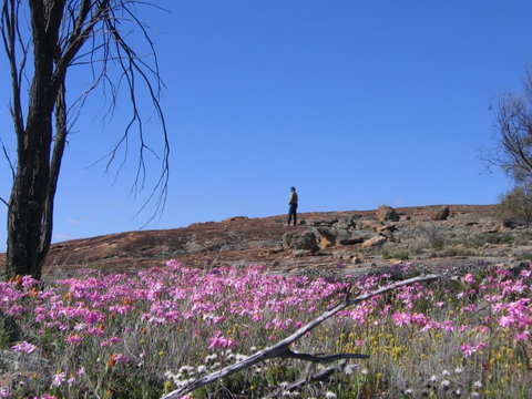 Talgomine Reserve - Your Accommodation 0
