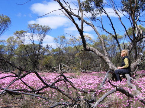 Talgomine Reserve - Your Accommodation 1