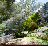 Wadbilliga Road drive - Your Accommodation
