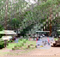 Wallingat Forest Drive - Your Accommodation