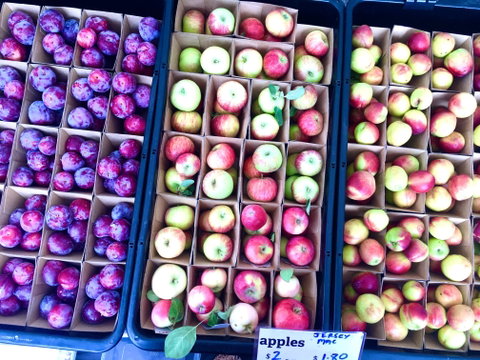 Adelaide Showground Farmers' Market - Your Accommodation 0