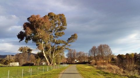 Adelong Falls Walk - Your Accommodation 0