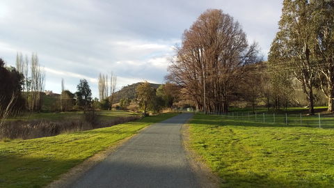Adelong Falls Walk - Your Accommodation 2