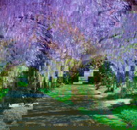 Alowyn Gardens and Nursery - Your Accommodation