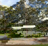Back Creek picnic area - Your Accommodation