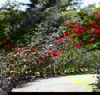 Benalla Botanical Gardens - Your Accommodation