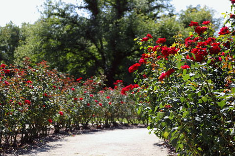 Benalla Botanical Gardens - Your Accommodation 0