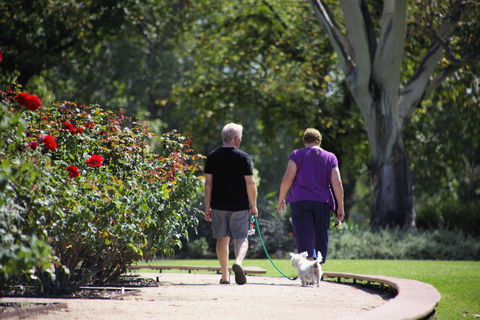 Benalla Botanical Gardens - Your Accommodation 1