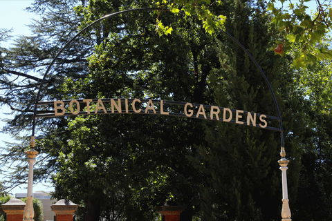Benalla Botanical Gardens - Your Accommodation 2