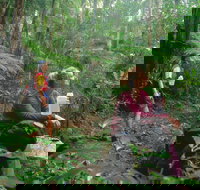 Binna Burra Lamington National Park - Your Accommodation