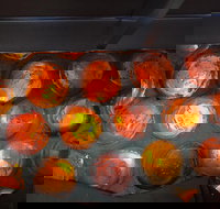 Bottle House and Mining Museum - Your Accommodation