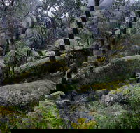 Cathedral Rock Track - Your Accommodation