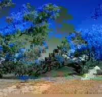 Comet - Your Accommodation