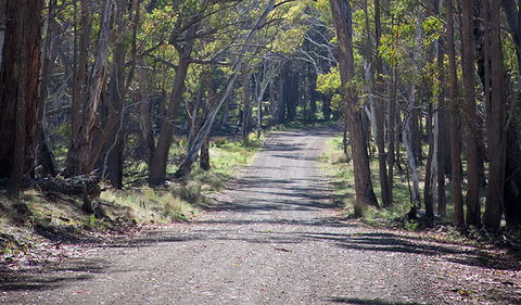 Coolah Tops National Park - Your Accommodation 0