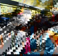 Crystal Kingdom - Your Accommodation