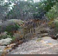 Dergholm State Park - Your Accommodation