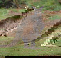 Donnelly River - Your Accommodation