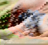 Eat Pick Grow Trail - Wanneroo and Chittering - Your Accommodation