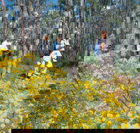 Gidgegannup - Your Accommodation