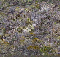 Horsnell Gully and Giles Conservation Parks - Your Accommodation