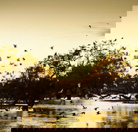 Kinchega Homestead Billabong Walk - Your Accommodation