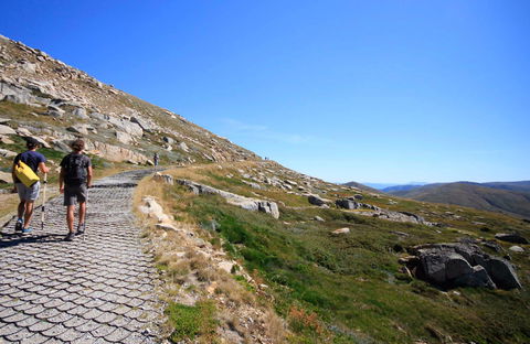 Kosciuszko Walk - Thredbo To Mount Kosciuszko - Your Accommodation 0