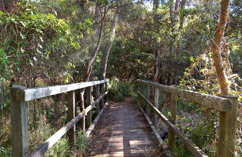 Lake Macquarie State Conservation Area - Your Accommodation 1