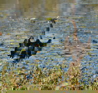 Lake Apex Park - Your Accommodation