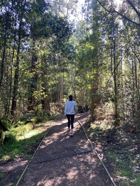 Lyrebird Circuit Walk - Your Accommodation 0