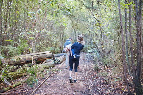 Lyrebird Circuit Walk - Your Accommodation 1