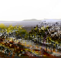 Mount View - Your Accommodation