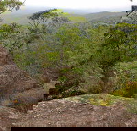 Pigeon House Mountain Didthul Walking Track