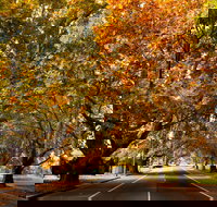 Richmond - Your Accommodation