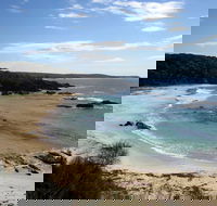 Snorkelling Mystery Bay