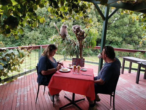 The Aussie Stop Offering Breakfast With Koalas - Your Accommodation 0