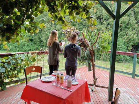 The Aussie Stop Offering Breakfast With Koalas - Your Accommodation 2