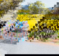 The Heron's Highway - Avon River Cycle Trail - Your Accommodation